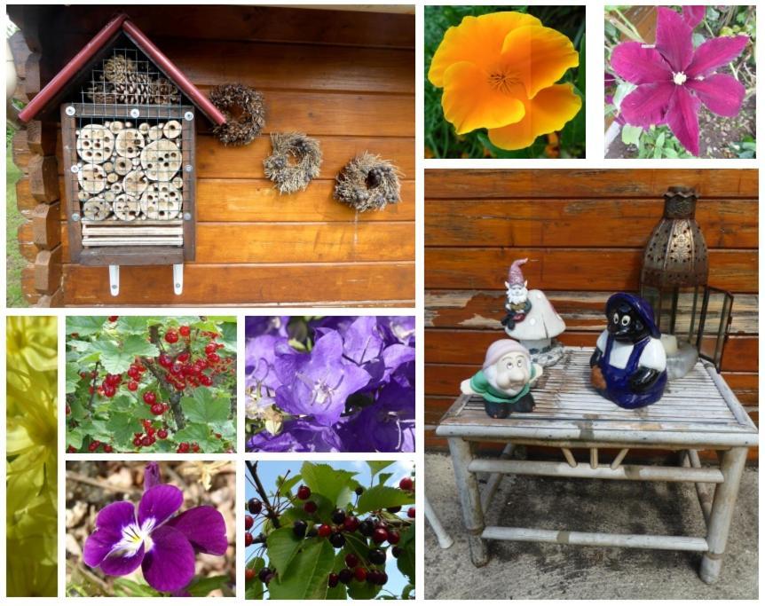 Au Rendez Vous De L'Auxois B&B Essey Exterior foto